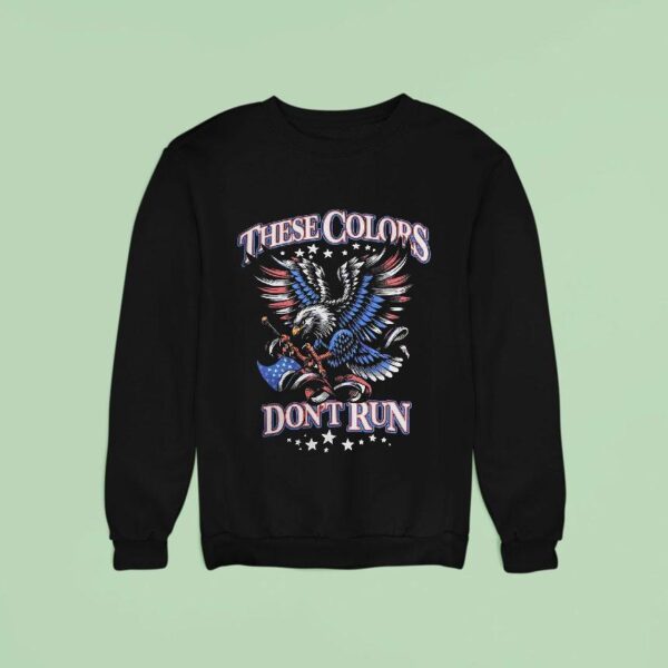 These Colors Never Run American Eagle Patrio Sweatshirt