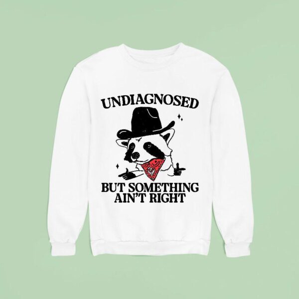Undiagnosed But Something Ain T Right Raccoon Cowboy Sweatshirt