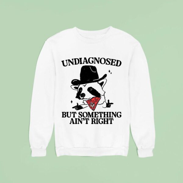 Undiagnosed But Something Ain T Right Raccoon Cowboy Sweatshirt