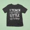 Thanksgiving I Teach The Cutest Little Turkeys T Shirt