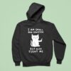 Cat I Am Small And Sensitive But Also Fight Me Hoodie