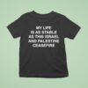 My Life Is As Stable As This Israel And Palestine Ceasefire T Shirt