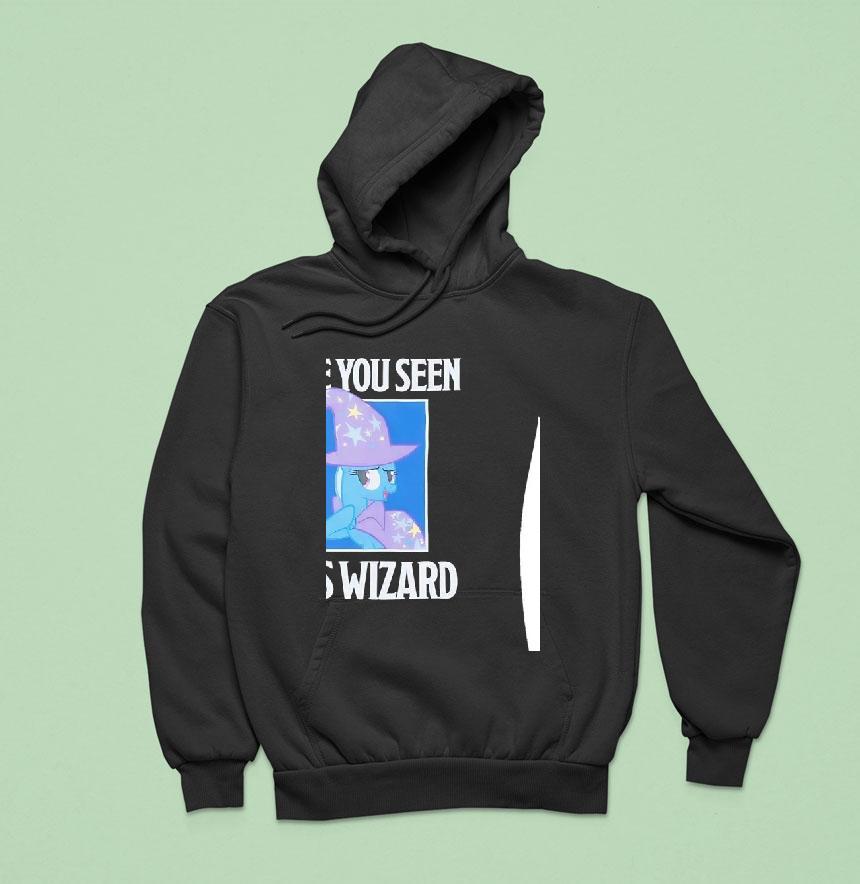 Pony Have You Seen This Wizard Hoodie Pony Have You Seen This Wizard Hoodie