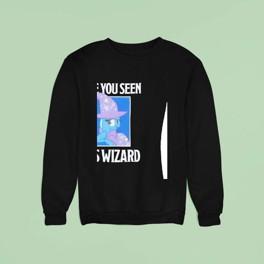 Pony Have You Seen This Wizard Sweatshirt Pony Have You Seen This Wizard Sweatshirt